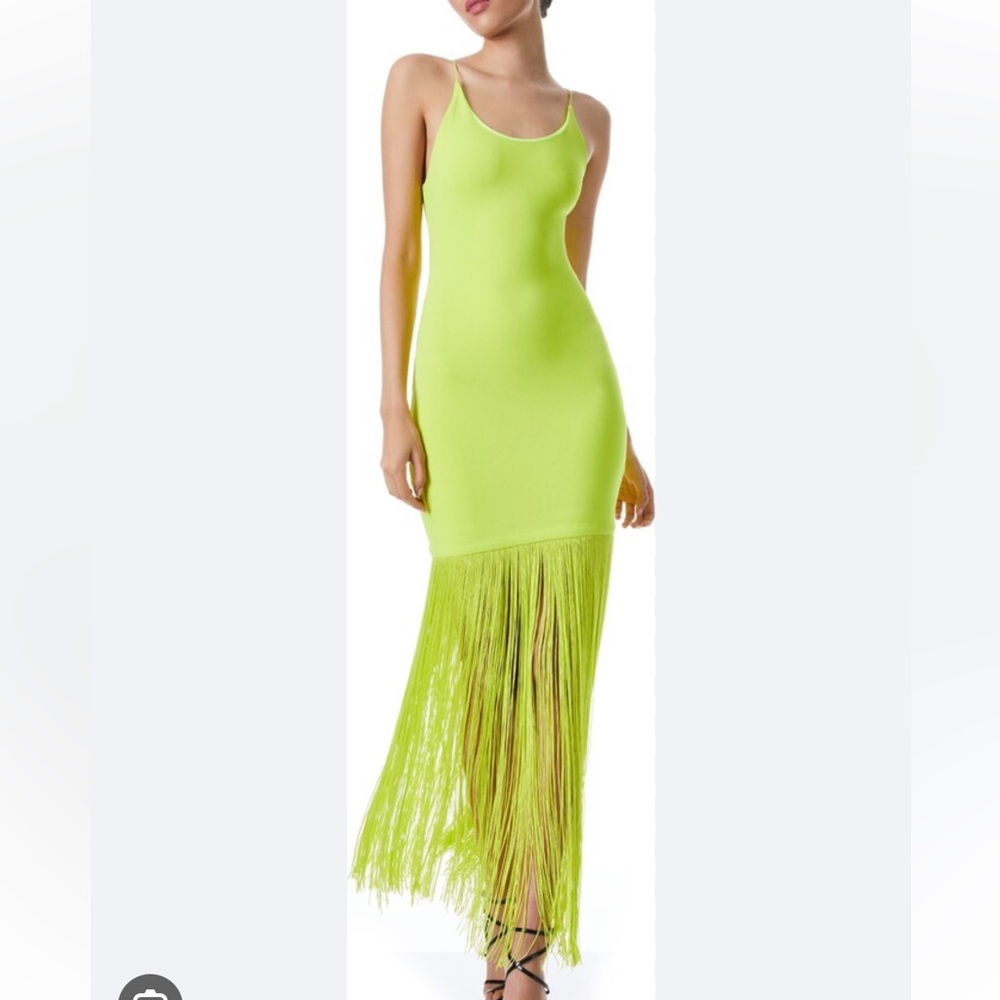 Scoop Neck Steph Alice + Olivia fringe body-con midi-dress 💚